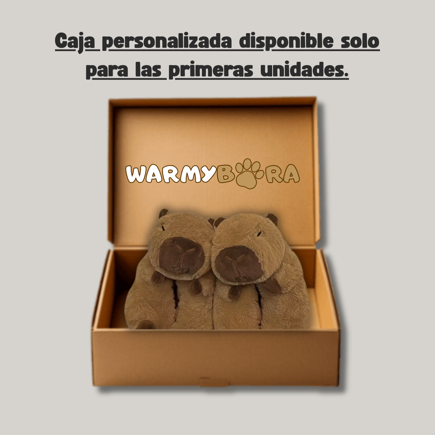 Warmybara® WarmStep Plush Slippers